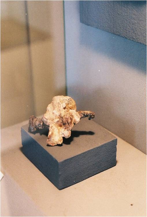 plaster cast of the anklebone of a crucified man